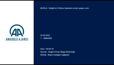Muğla'da orman yangını