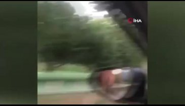Başıboş atlar Bursa'nın yollarında cirit atıyor