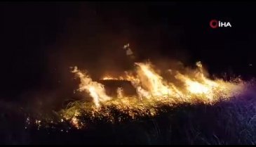 Bursa'da İznik Gölü'nde sazlık alanda korkutan yangın!