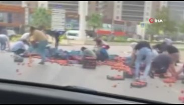 Bursa'da şeftali seferberliği