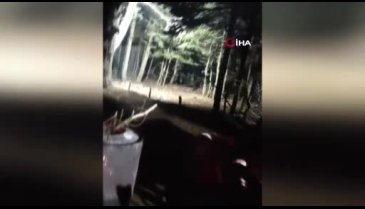 Uludağ'a tatile giden aileye ayı şoku