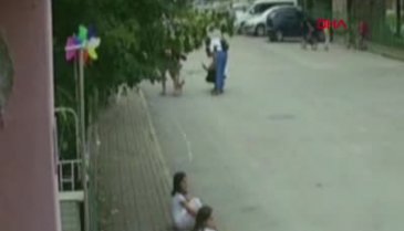 Bursa'da köpeği önce sevdiler sonra çaldılar