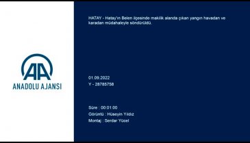 Hatay'da çıkan yangında 20 dönüm alan zarar gördü