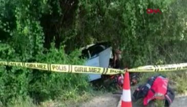 Sakarya'da otomobil, ağaca çarptı; aynı aileden 1 ölü, 5 yaralı