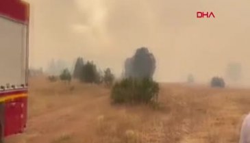 Erzincan'da orman yangını çıktı