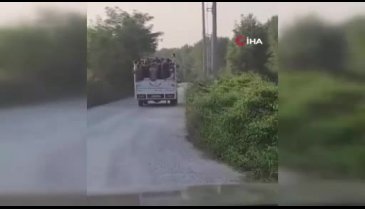 Bursa'da tehlikeli yolculuk: Canlarını hiçe saydılar