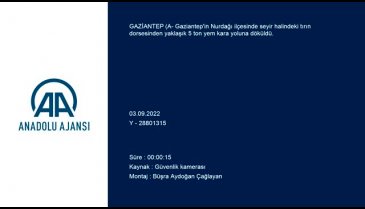 Gaziantep'te 5 ton yem yola saçıldı
