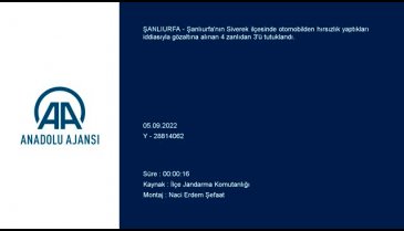 Şanlıurfa'da hırsızlık şüphelisi 3 kişi tutuklandı
