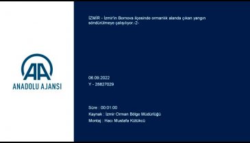 İzmir'de orman yangını