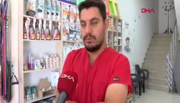 Ankara'da veterinerin kasasından 4 bin 500 lira çalındı