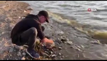 Bursa İznik Gölü'nde tarihi taş kalıntısına rastlandı