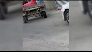 Adana'da seyyar satıcı yorulan atına yumruk attı