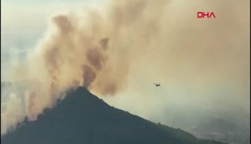 Muğla'daki orman yangını kontrol altına alındı