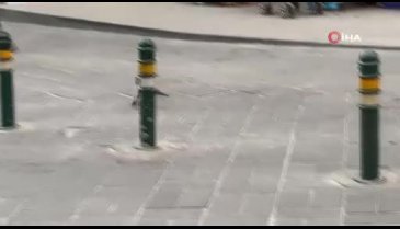Bursa'da yavru kediyi kurtarma seferberliği