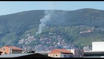 Bursa'da orman yangını
