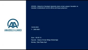 Adana'da orman yangını çıktı
