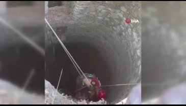 Kuyuya düşen buzağı kurtarıldı