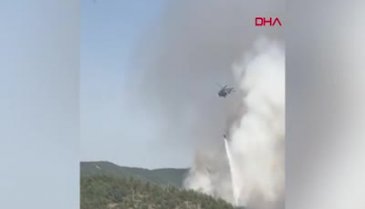 Balıkesir'de orman yangını çıktı
