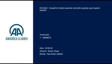 Kocaeli'de otomobilin çarptığı yaya hayatını kaybetti