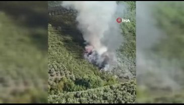 Bursa'da orman yangını