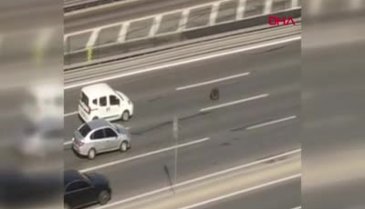 İstanbul'da trafikte tekerlek paniği