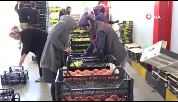Bursa'dan Rusya'ya meyve ihracatı