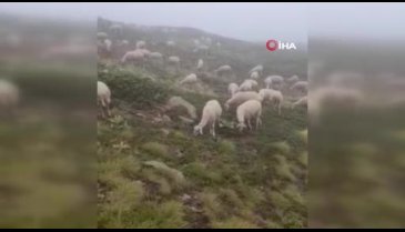 Bursa Uludağ'a mevsimin ilk karı düştü - 2