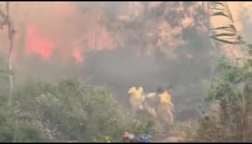 Antalya'da kontrol altına alınan alanda tekrar yangın başladı