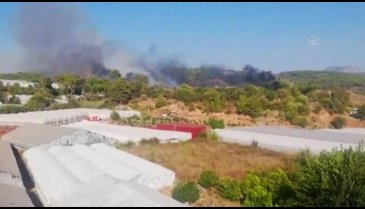 Antalya Kumluca'da orman yangını çıktı