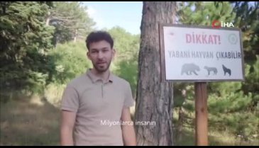 Bursa Uludağ'da yaban hayatı görüntülendi