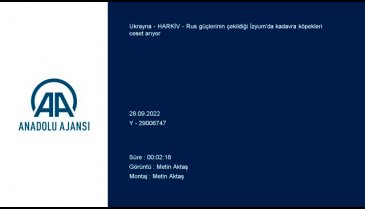 Ukrayna'da kadavra köpekleri askerlerin cansız bedenlerini arıyor