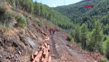 Hatay'da orman yangınına karşı üst seviye önlemler