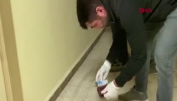 Diyarbakır'da eski eşini öldüren şahıs tutuklandı