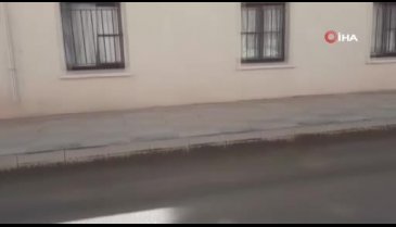 Gaziantep'te kan donduran olay: 10'dan fazla sokak kedisinin ayağı kesildi