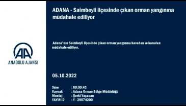 Adana'daki orman yangını kontrol altına alındı