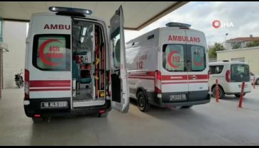 Bursa'da arı faciası: Okul tatil edildi!