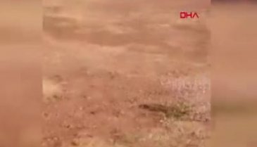 Mardin'de muştalı öğrenciye müdahale eden antrenöre gözaltı