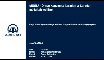 Muğla'da çıkan orman yangınında 1 hektar alan zarar gördü