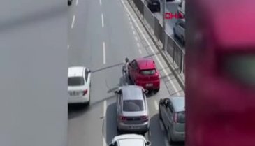 İstanbul'da bir sürücü kediyi ezilmekten kurtardı