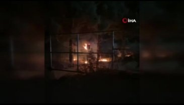 Bursa'da yaban hayvanı barınağında yangın