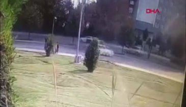 Köpeklerden kaçarken otomobil çarptı! Küçük çocuk hayatını kaybetti