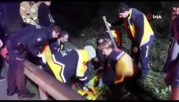 İstanbul'da minibüs ağaçlık alana uçtu