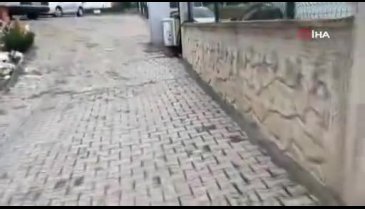 Bursa'da baykuş kurtarma operasyonu