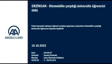 Erzincan'da otomobilin çarptığı üniversite öğrencisi hayatını kaybetti