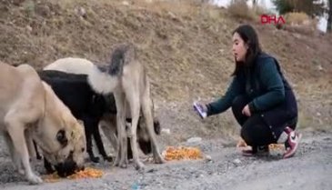 Konya'da lise öğrencisi sokak hayvanlarına hayat oluyor