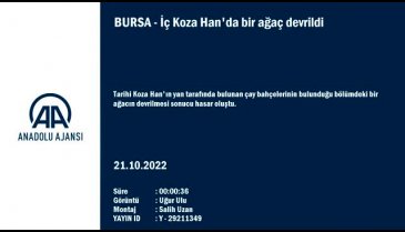 Bursa'da tarihi Koza Han'da çınar ağacı kafenin üzerine devrildi