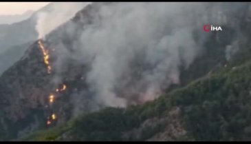 Osmaniye'de ormanlık alana yıldırım düşmesi sonu yangın çıktı