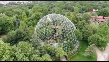 Bursa Zoo'nun yeni üyesinin ismi belli oldu