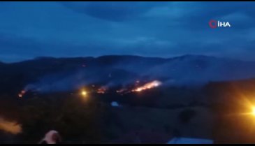 İzmir'de çıkan orman yangınına müdahale sürüyor
