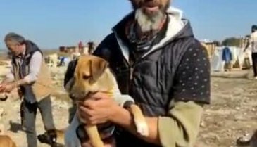Bursa'da 16 yıldır 800 köpeği besliyor